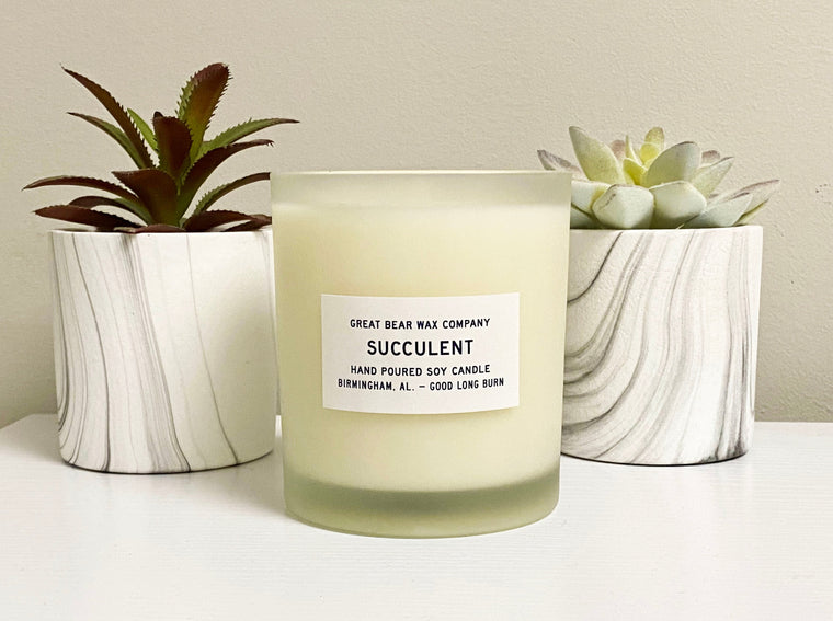 Succulent - Realtor Special